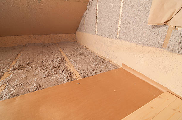 Best Cellulose Insulation  in West St Paul, MN